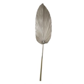 Hoja decorativa de palmera Washingtonia DAIANE, seca, color champán, 100 cm Hoja decorativa de palmera Washingtonia DAIANE, seca, color champán, 100 cm