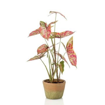 Planta artificial Syngonium YOMREL en maceta de terracota, rojo-verde, 60 cm