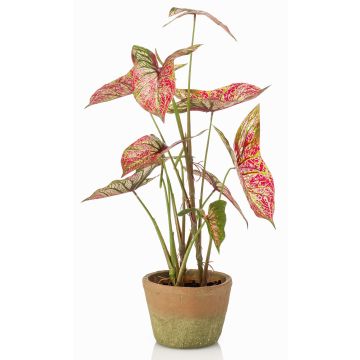 Planta artificial Syngonium YOMREL en maceta de terracota, rojo-verde, 60 cm
