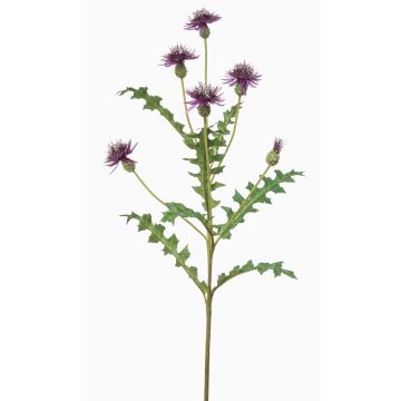 Flor artificial aciano XAVANNAH, violeta, 95 cm