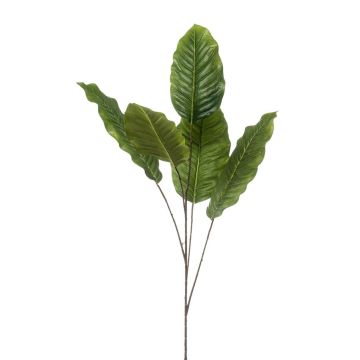 Rama decorativa Dieffenbachia ZERVAN, verde, 110 cm