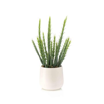 Cactus artificial Euphorbia trigona NORSHE en maceta decorativa, verde, 28 cm