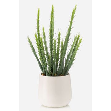 Cactus artificial Euphorbia trigona NORSHE en maceta decorativa, verde, 28 cm