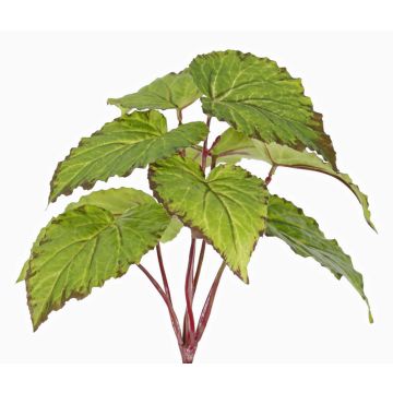 Begonia artificial KATRICE en varilla, difícilmente inflamable, verde, 25cm Begonia artificial KATRICE en varilla, difícilmente inflamable, verde, 25cm