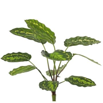 Planta artificial Calathea roseopicta WENFYN, varilla, verde, 55 cm