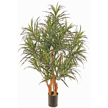 Árbol artificial Dracaena reflexa anita SENFYN, troncos naturales, verde, 95cm