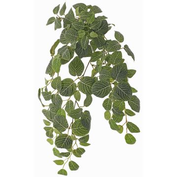 Planta artificial Fittonia LONFYN, varilla, colgante, verde, 75cm Planta artificial Fittonia LONFYN, varilla, colgante, verde, 75cm