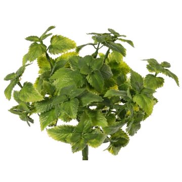 Menta decorativa WONFYN, varilla, verde, 20 cm