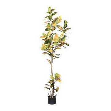 Árbol artificial Croton ERENDY, tronco artificial, verde-amarillo, 200 cm