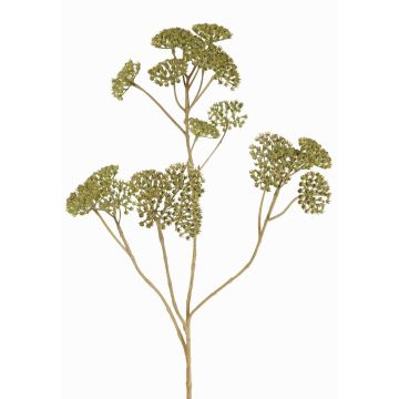Rama decorativa de milenrama ORTEGA, verde, 75cm, Ø7-13cm