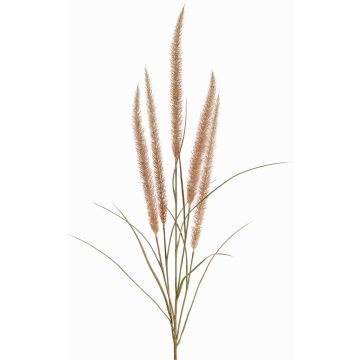 Rama decorativa de plumas AREVALO con panículas, beige, 135cm