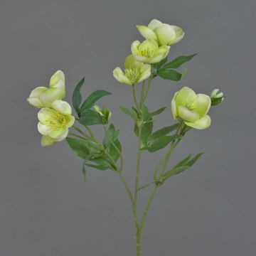 Rama artificial de rosa de Navidad ANYALA, verde y blanco, 50 cm