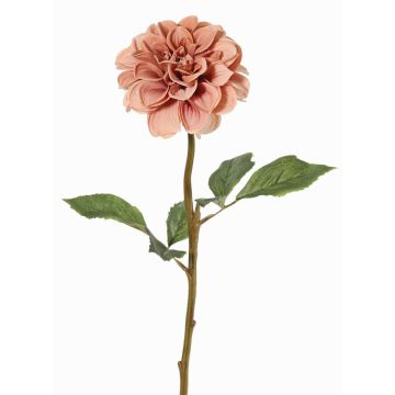 Flor artificial dalia BREDANA, rosa palo, 60cm, Ø11cm Flor artificial dalia BREDANA, rosa palo, 60cm, Ø11cm