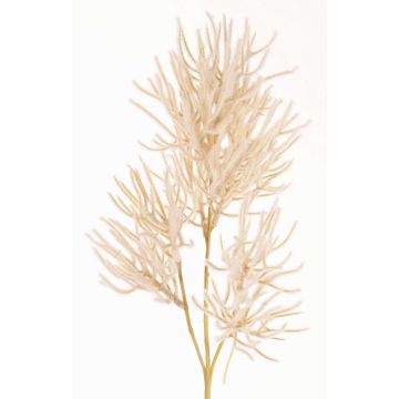Rama decorativa de coral BILBAS, crema, 70cm Rama decorativa de coral BILBAS, crema, 70cm