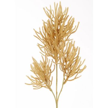 Rama decorativa de coral BILBAS, marrón claro, 70 cm