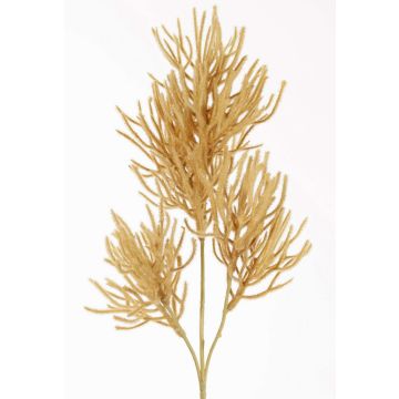 Rama decorativa de coral BILBAS, marrón claro, 70cm Rama decorativa de coral BILBAS, marrón claro, 70cm