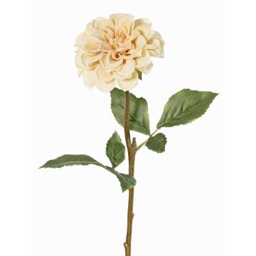 Flor artificial de dalia BREDANA, color beige, 60cm, Ø11cm Flor artificial de dalia BREDANA, color beige, 60cm, Ø11cm