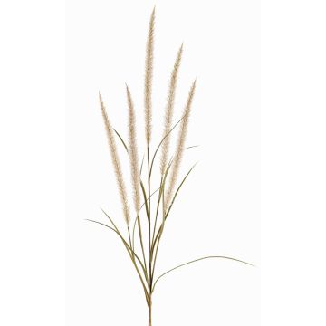 Rama decorativa de plumas AREVALO con panículas, crema, 135cm