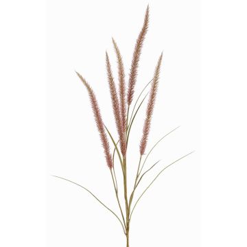 Rama decorativa de hierba pluma AREVALO con panículas, malva, 135cm