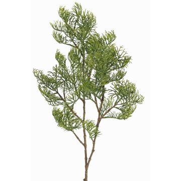 Rama decorativa de ciprés artificial SILVARIO, verde, 75cm Rama decorativa de ciprés artificial SILVARIO, verde, 75cm