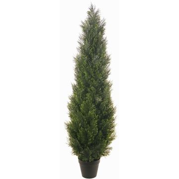 Tuya artificial ODINE en maceta decorativa, crossdoor, verde, 150cm