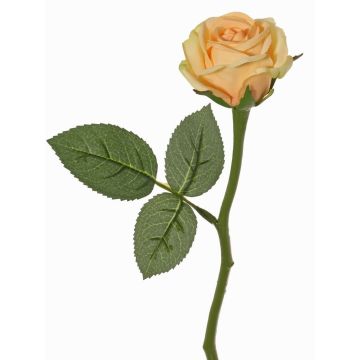 Rosa artificial GABI, melocotón-crema, 30cm, Ø6cm Rosa artificial GABI, melocotón-crema, 30cm, Ø6cm