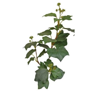 Rama de hiedra artificial TOYAH con frutos, verde, 65 cm
