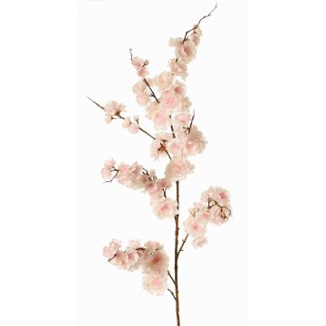 Rama decorativa cerezo japonés ZORYA con flores, rosa-crema, 125cm Rama decorativa cerezo japonés ZORYA con flores, rosa-crema, 125cm