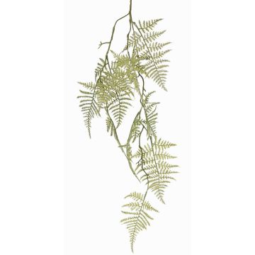 Rama decorativa Asparagus plumosus UHERA, verde, 90cm Rama decorativa Asparagus plumosus UHERA, verde, 90cm