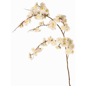 Rama decorativa de cerezo japonés ZORYA con flores, crema-rosa, 125cm Rama decorativa de cerezo japonés ZORYA con flores, crema-rosa, 125cm