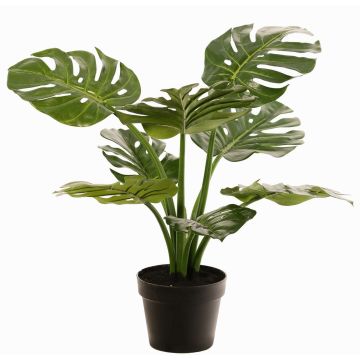 Filodendro Monstera Deliciosa planta artificial QUENTEA, maceta decorativa, 60cm Filodendro Monstera Deliciosa planta artificial QUENTEA, maceta decorativa, 60cm