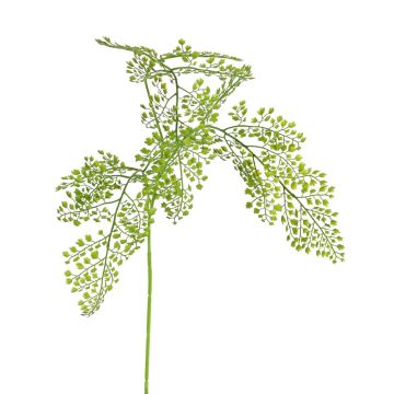 Rama de helecho falso artificial URRACA, verde, 90 cm