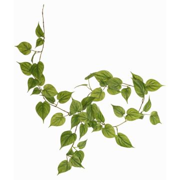 Guirnalda de filodendro falso Scandens MELUBO, verde, 180cm Guirnalda de filodendro falso Scandens MELUBO, verde, 180cm