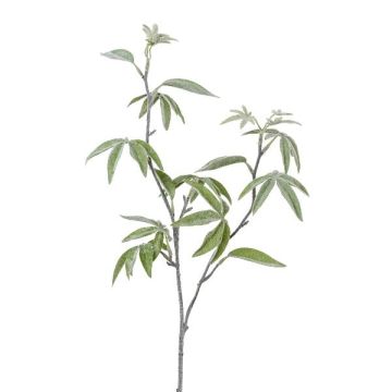 Rama decorativa aralia DREVAL, helada, blanca y verde, 65 cm Rama decorativa aralia DREVAL, helada, blanca y verde, 65 cm