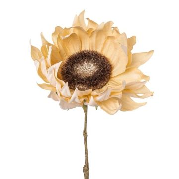 Girasol artificial CRUFT, aspecto seco, color crema, 60 cm