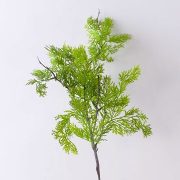Rama decorativa de tuya BIRLAF, verde-amarillo, 60 cm Rama decorativa de tuya BIRLAF, verde-amarillo, 60 cm