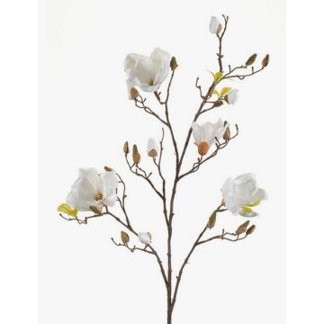 Rama de magnolia artificial LILO, crema, 110cm, Ø5-9cm Rama de magnolia artificial LILO, crema, 110cm, Ø5-9cm