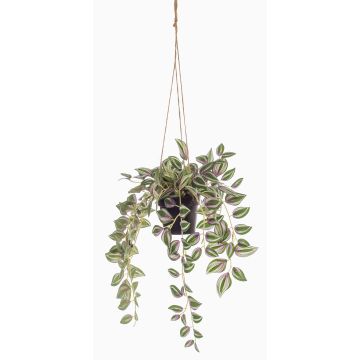 Planta artificial Tradescantia Zebrina en maceta decorativa SPROUT, verde, 40 cm Planta artificial Tradescantia Zebrina en maceta decorativa SPROUT, verde, 40 cm