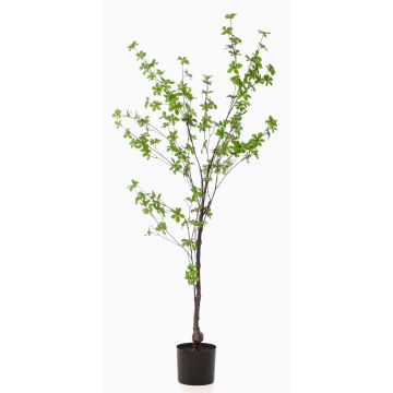 Árbol artificial capuchina TUFFY, tronco artificial, verde, 150 cm Árbol artificial capuchina TUFFY, tronco artificial, verde, 150 cm