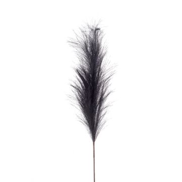 Rama decorativa de pampa NYX, azul oscuro, 100 cm