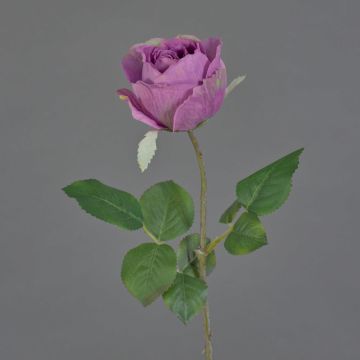 Flor artificial rosa POPI, violeta-verde, 55 cm, Ø 7 cm