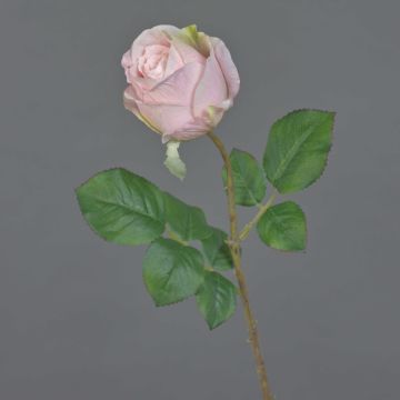 Flor artificial rosa POPI, rosa pálido, 55 cm, Ø 7 cm