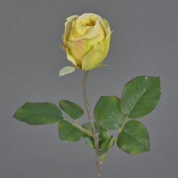 Flor artificial rosa POPI, amarillo-rosa, 55 cm, Ø 7 cm