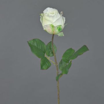 Flor artificial rosa POPI, blanco-verde, 55 cm, Ø 7 cm