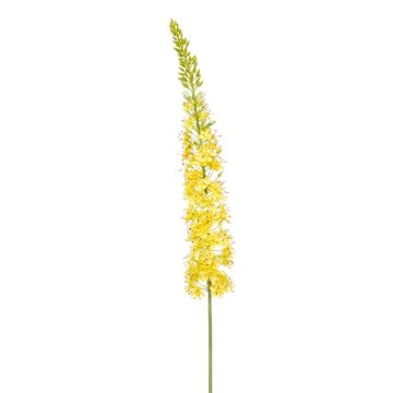 Flor artificial grande de vela de steppe NITTI, amarilla, 130 cm Flor artificial grande de vela de steppe NITTI, amarilla, 130 cm