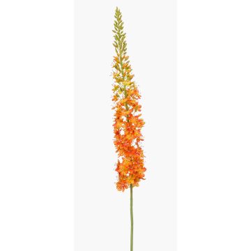 Flor artificial grande de vela de steppe NITTI, naranja, 130 cm Flor artificial grande de vela de steppe NITTI, naranja, 130 cm
