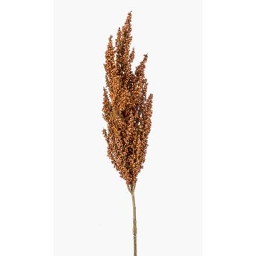 Rama artificial de sorgo VANCE con espigas, marrón claro, 80 cm Rama artificial de sorgo VANCE con espigas, marrón claro, 80 cm