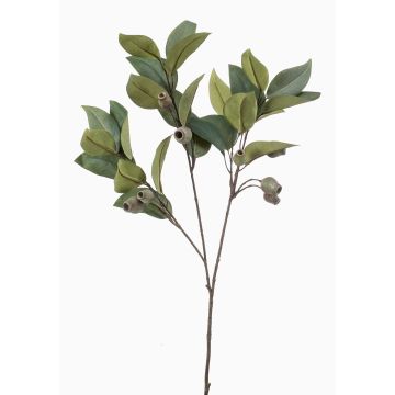 Rama artificial de eucalipto VIZIMIR con frutos, verde, 80 cm