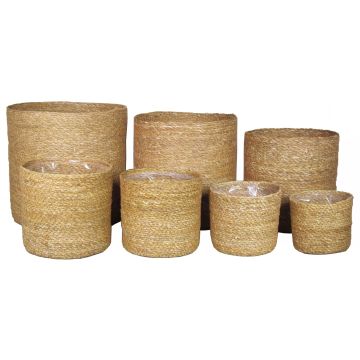 Cesta para flores AMPARO, algas marinas, 7 unidades, beige, 12-30 cm, Ø 13-32 cm