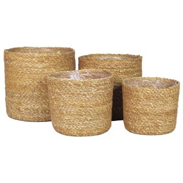 Cesta para flores AMPARO, algas marinas, 4 unidades, beige, 12-19 cm, Ø 13-20 cm
